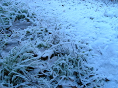 P1120026.JPG