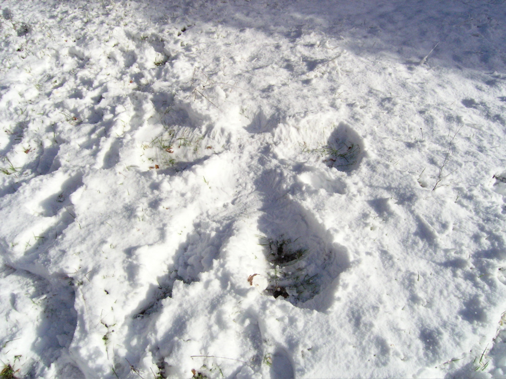 P2280045.JPG