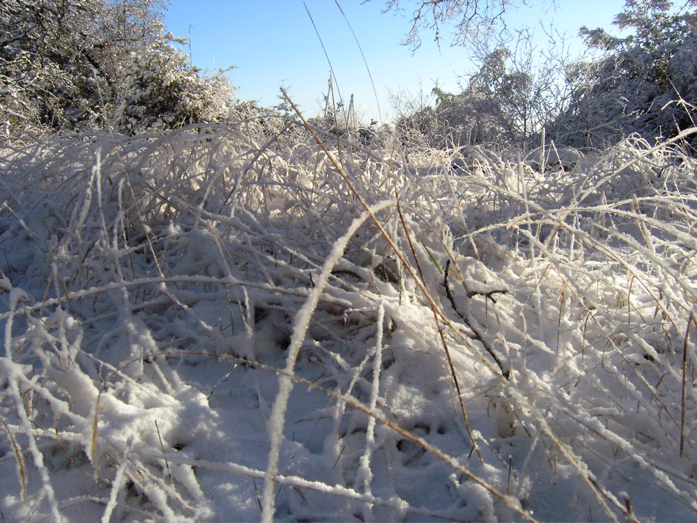 P2280030.JPG