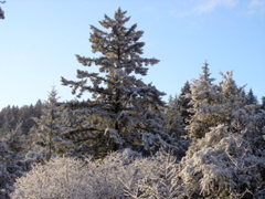 P2280015.JPG