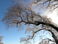 P2280025.JPG