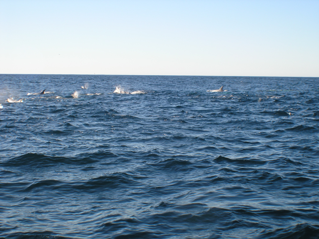 PC030004.JPG