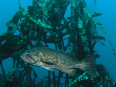 PC030047.JPG