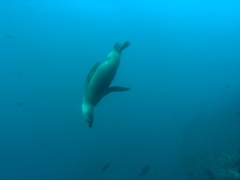 PC030151