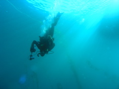 PC030016.JPG