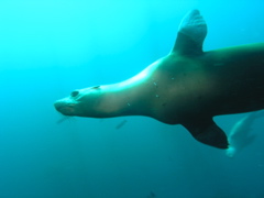 PC030153