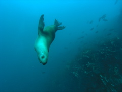 PC030156