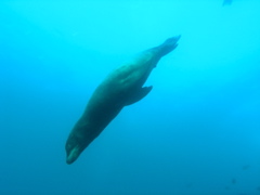 PC030157