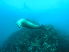 PC030162