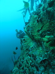 PC030026.JPG