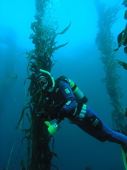 PC030101.JPG