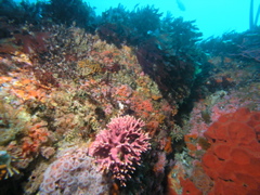 PC030056.JPG