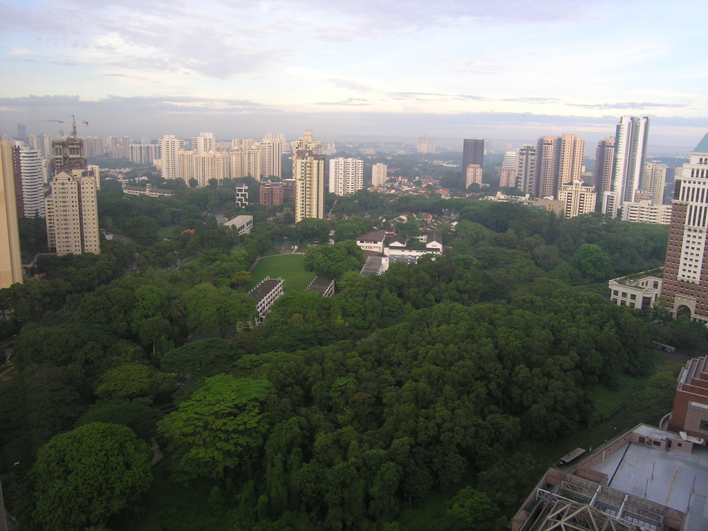 P4190021.JPG