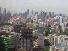 P4200053.JPG