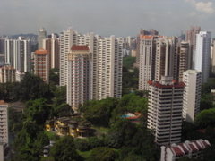 P4200054.JPG