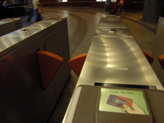 P4210113.JPG