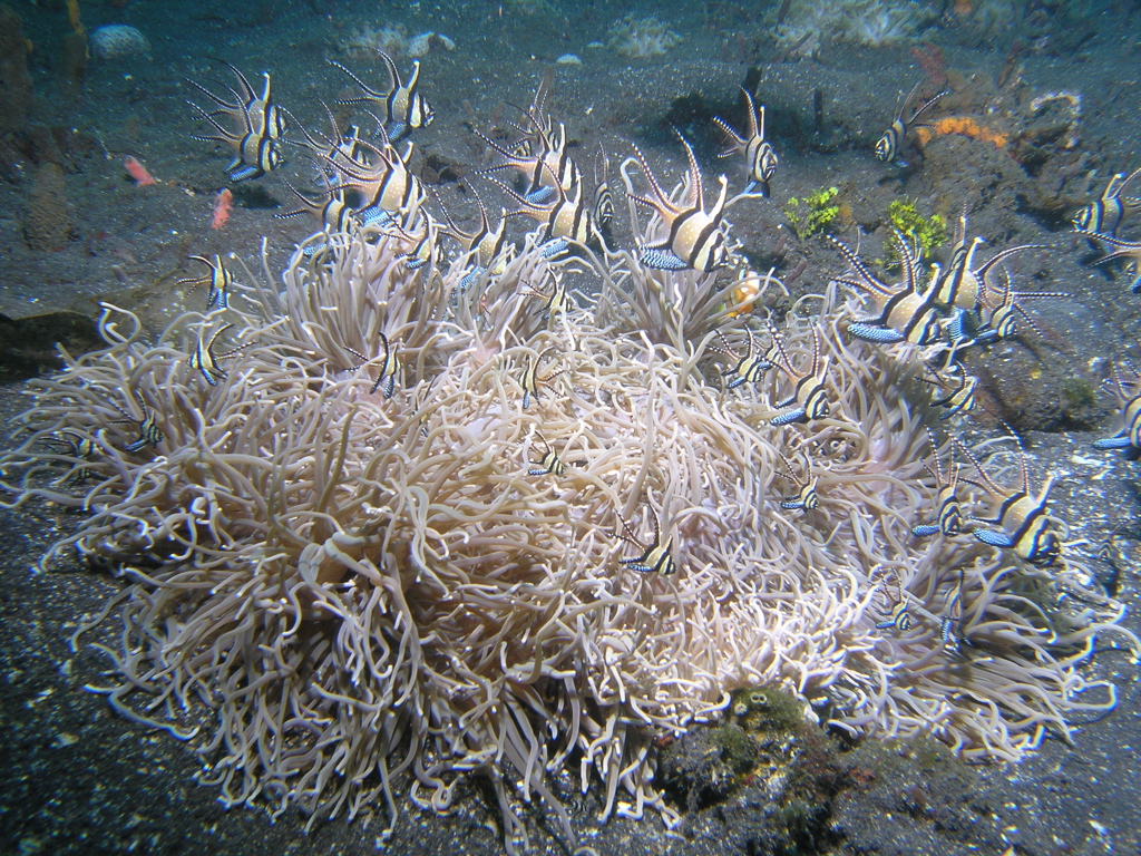 P4230276.JPG