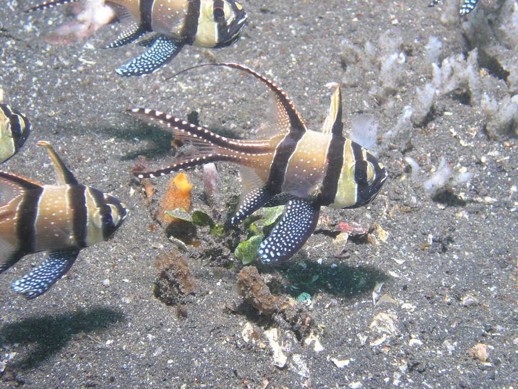 P4230278.JPG