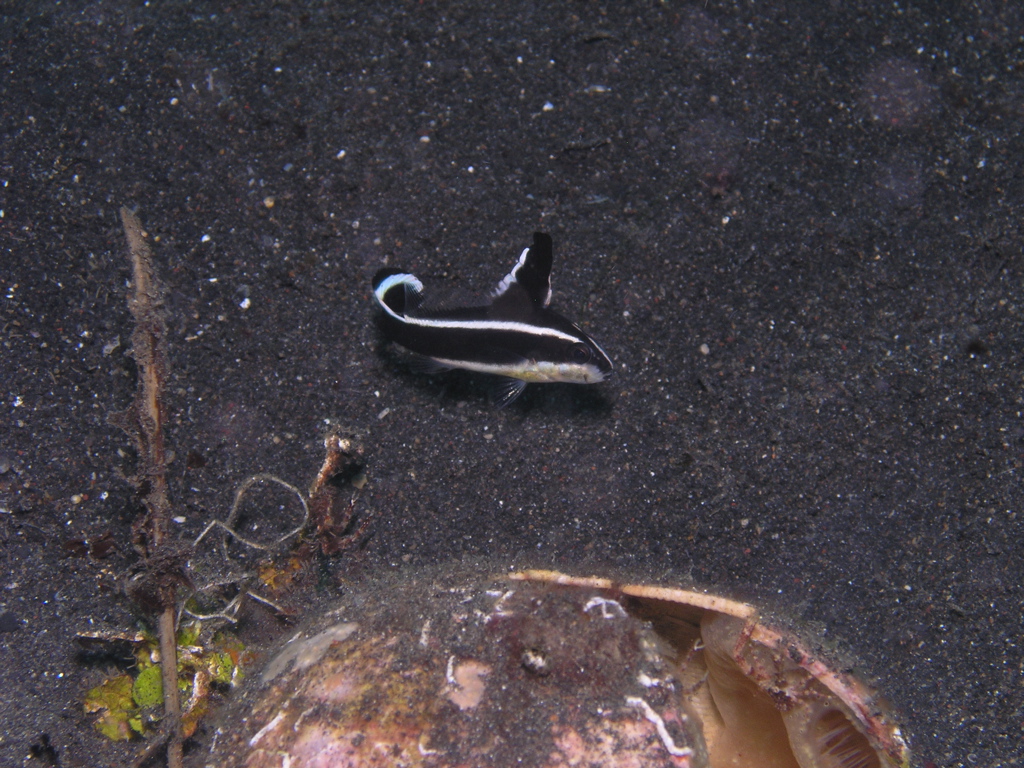 P4220101.JPG