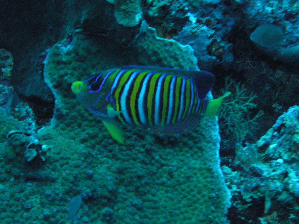 P4270014.JPG