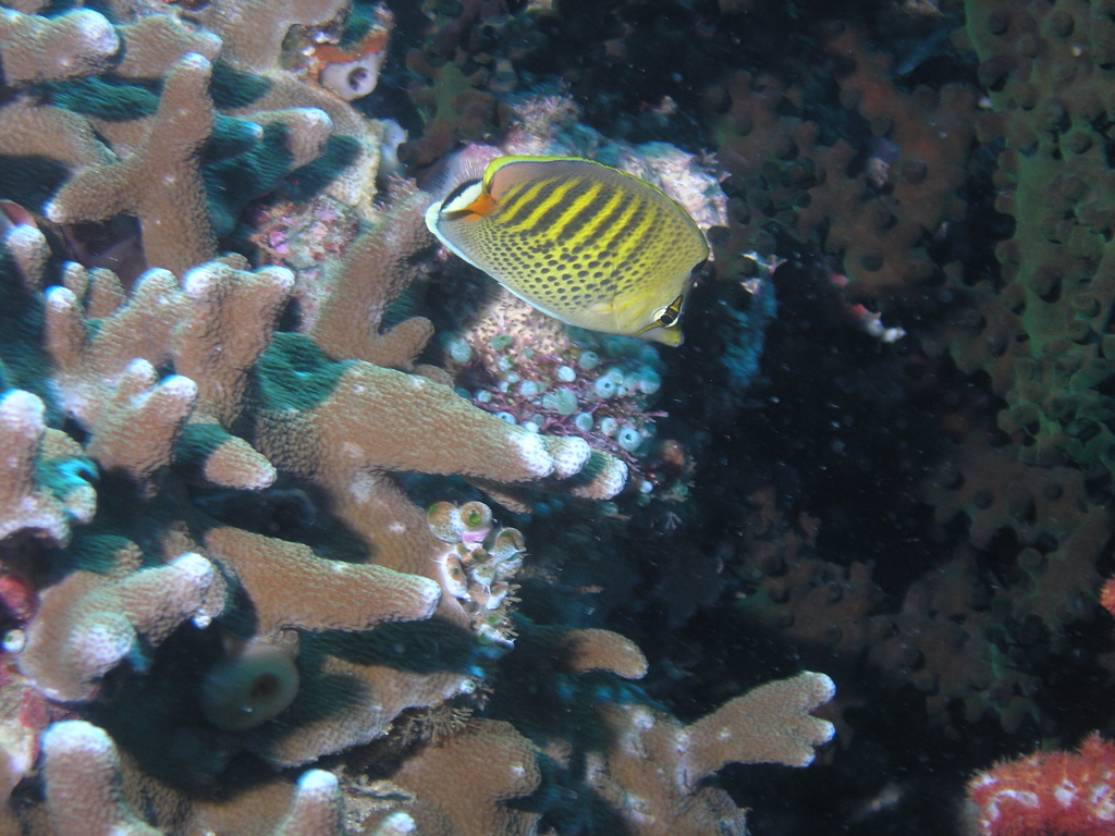 P4260047.JPG