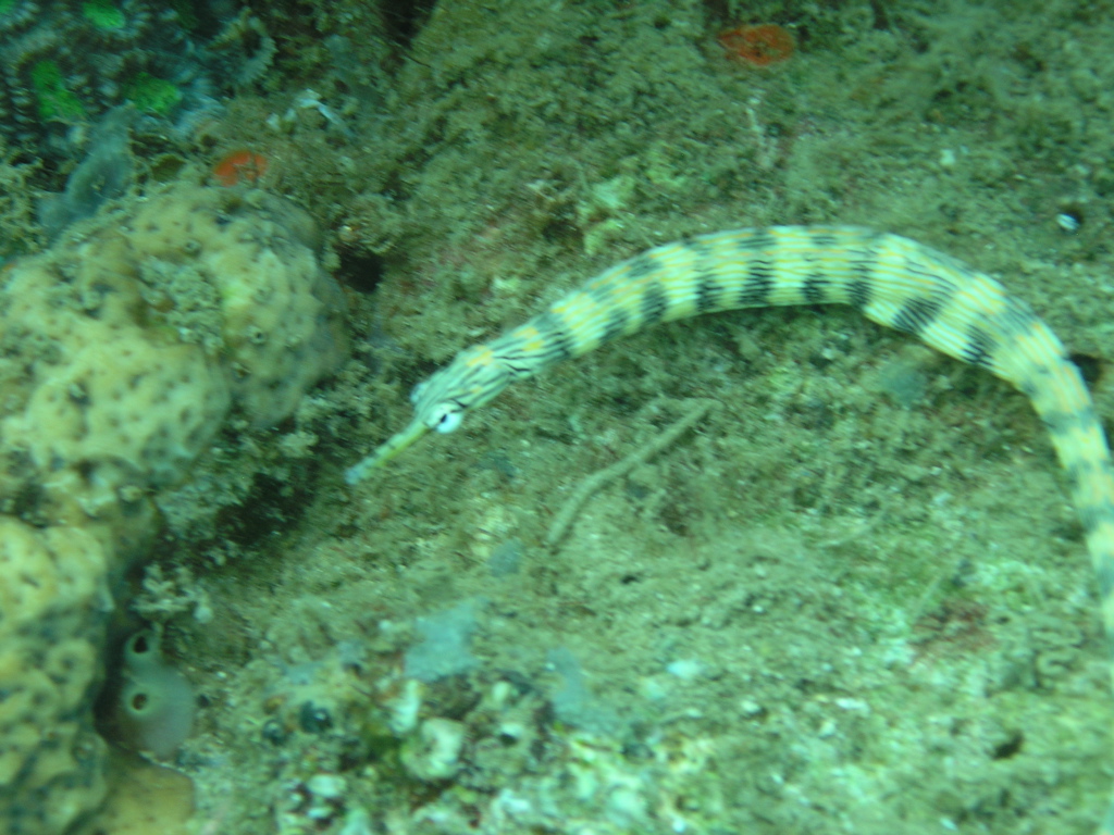 P4220057.JPG
