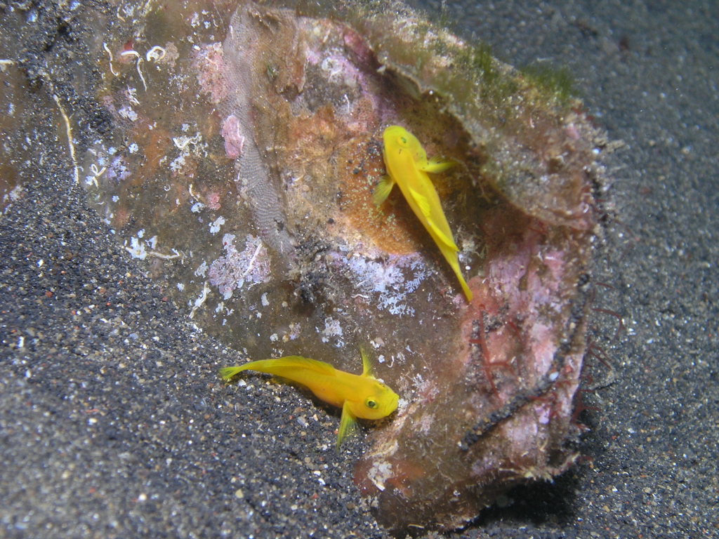P4220080.JPG