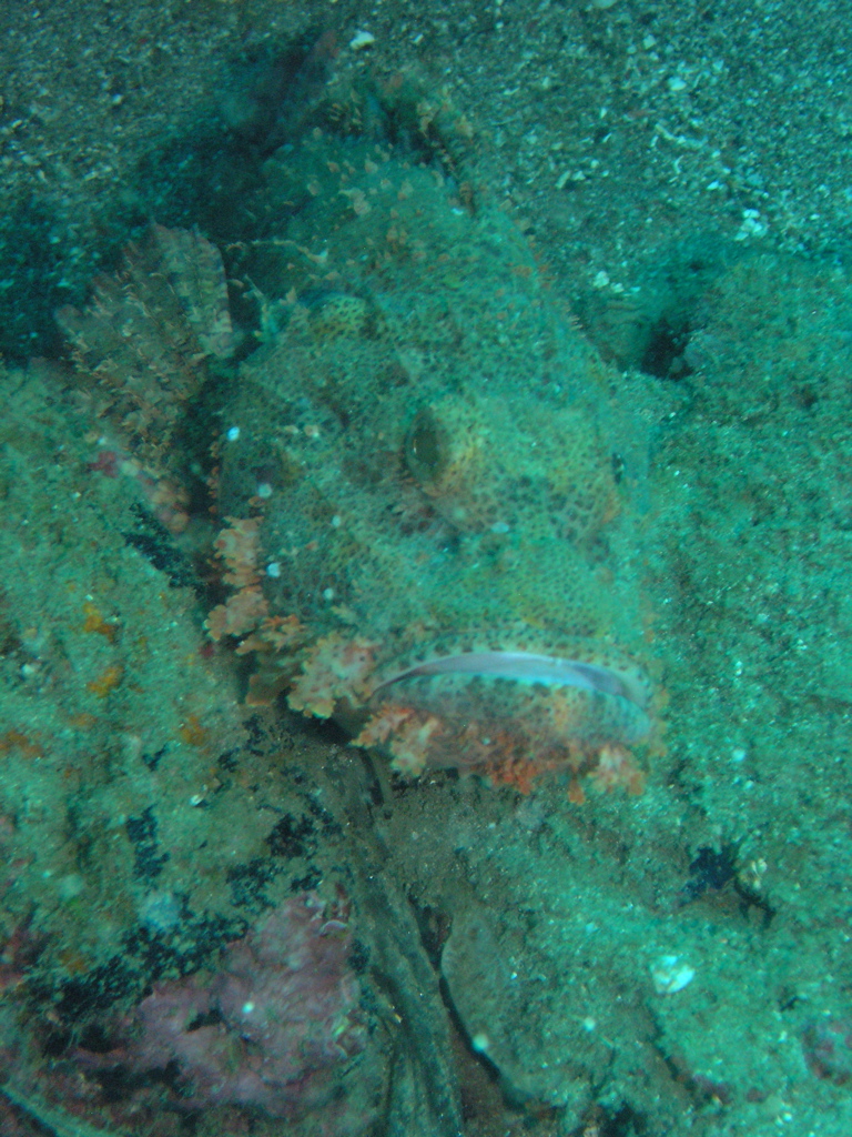 P4230130.JPG