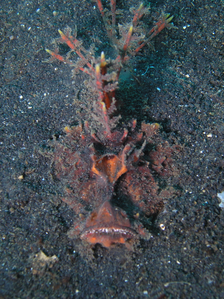 P4240325.JPG