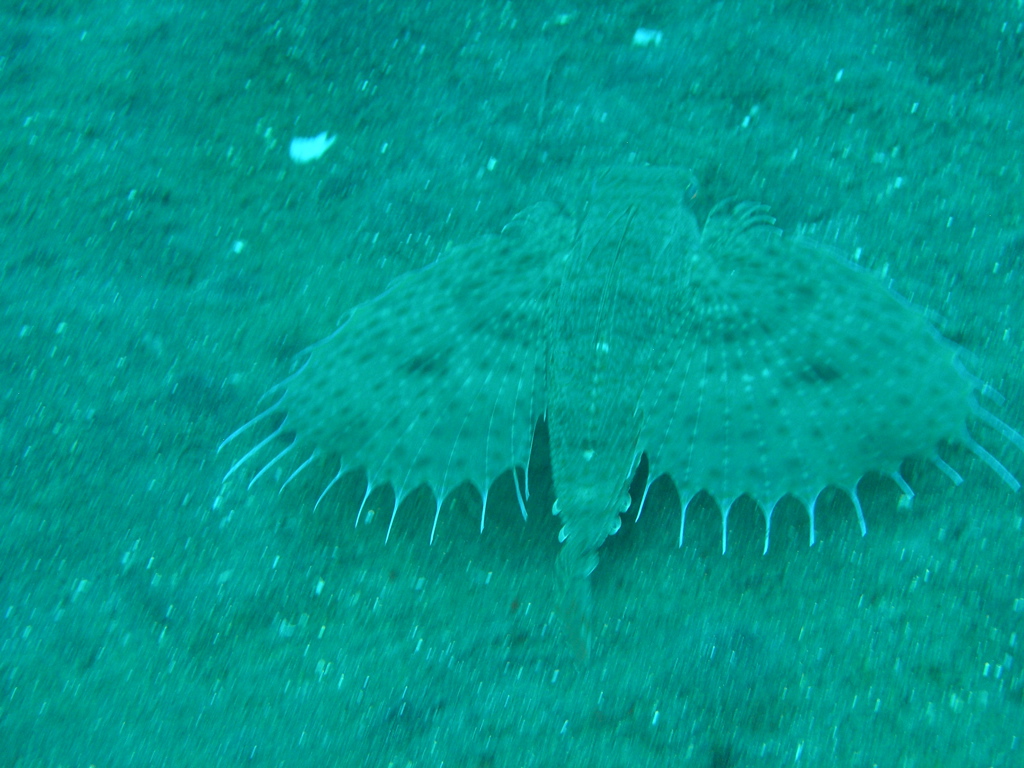 P4240411.JPG