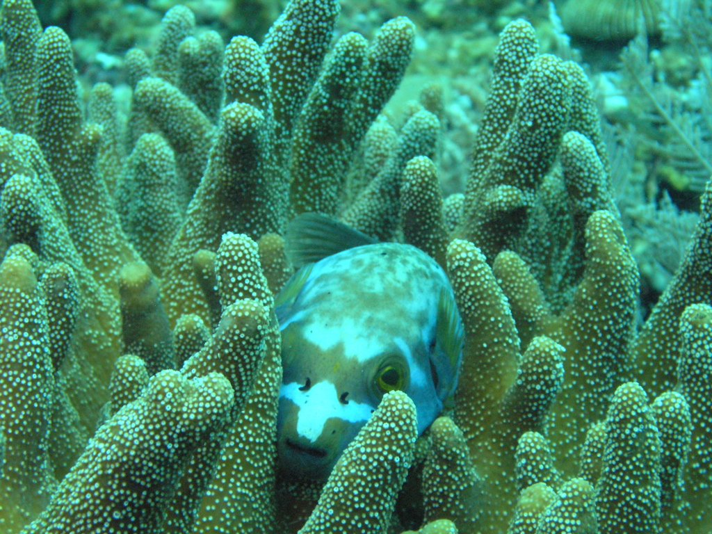 P4270057.JPG