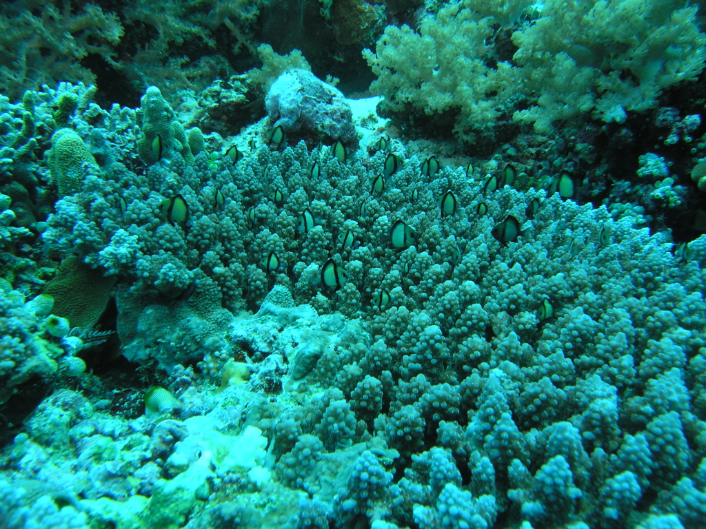 P4260111.JPG
