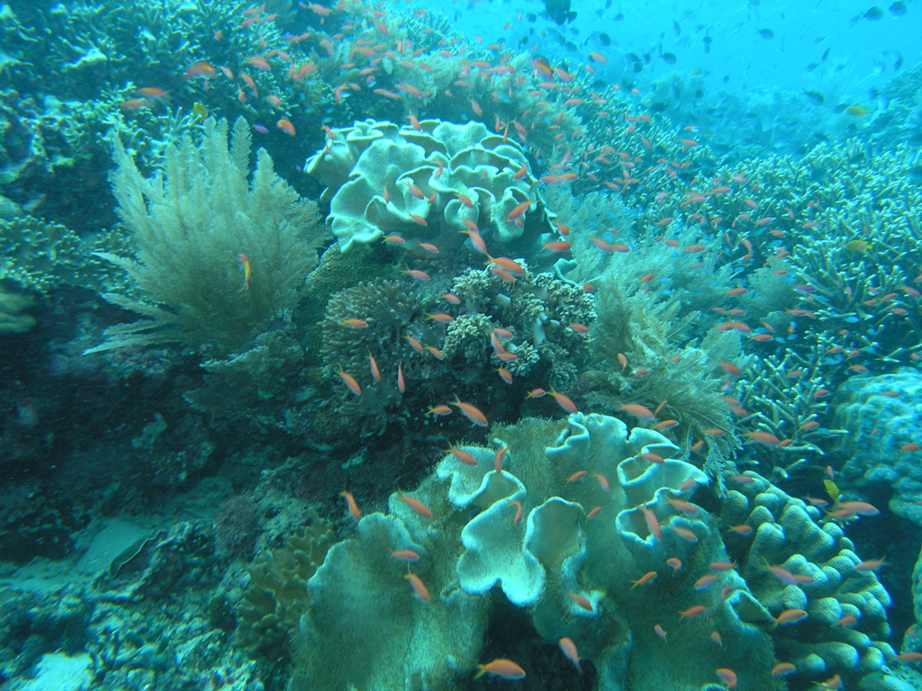P4260135.JPG