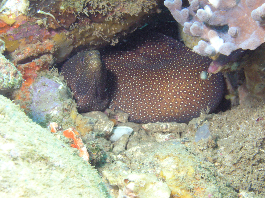 P4230177.JPG