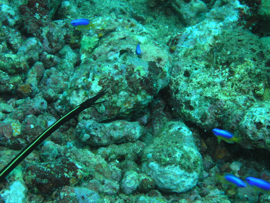 P4260062.JPG
