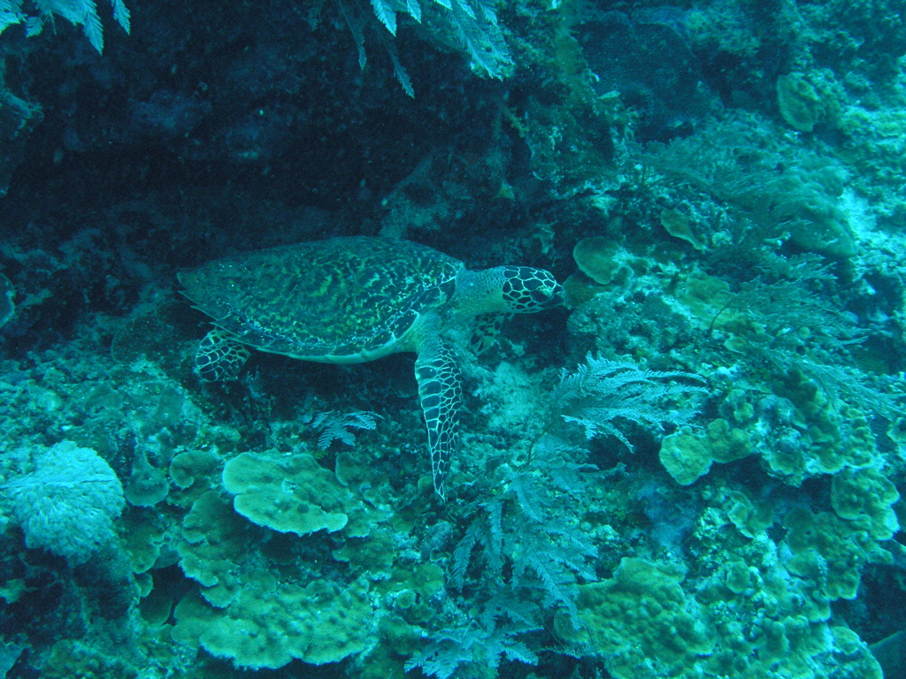 P4270034.JPG