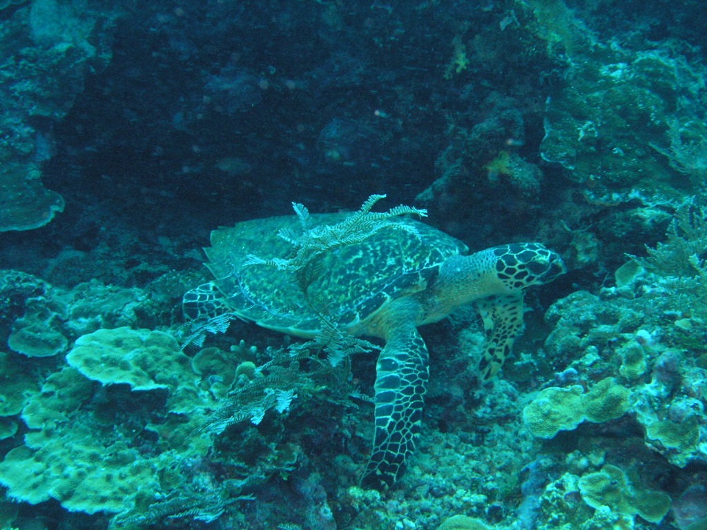 P4270035.JPG