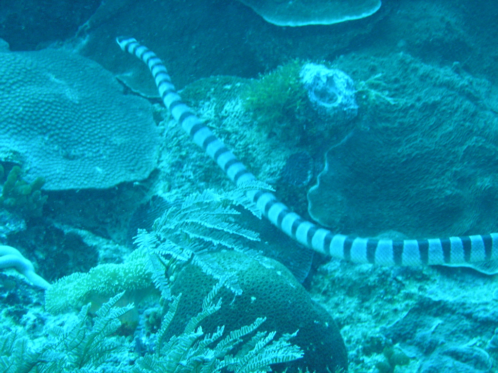P4270018.JPG