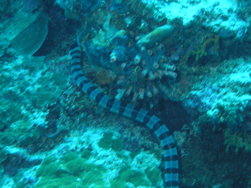 P4270022.JPG