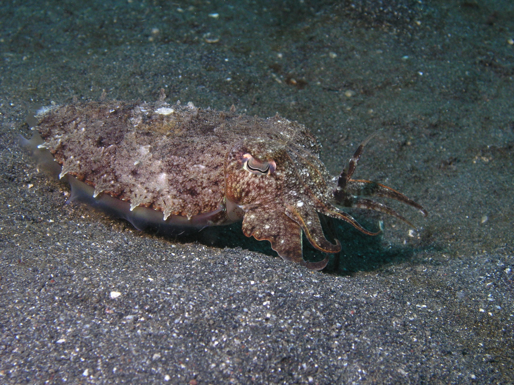 P4240387.JPG
