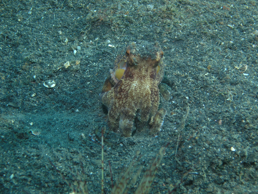 P4240331.JPG