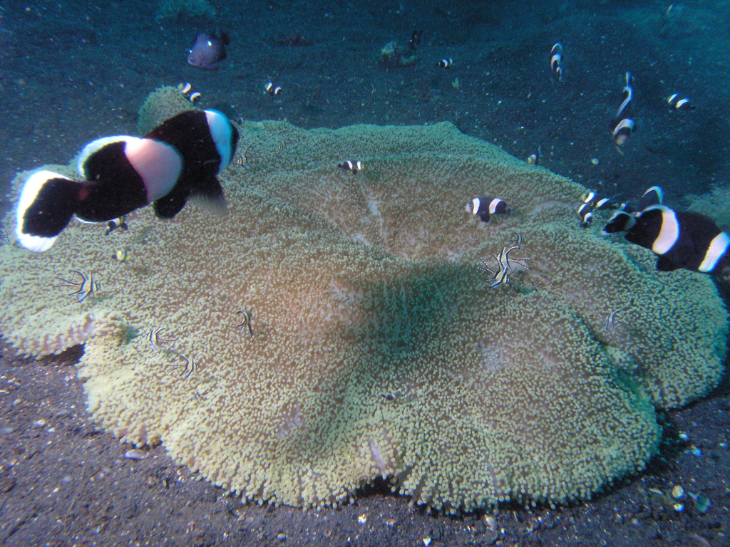 P4230212.JPG