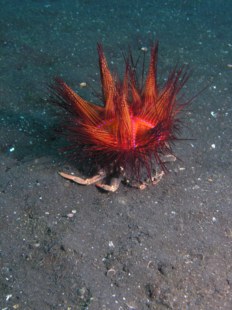 P4240292.JPG