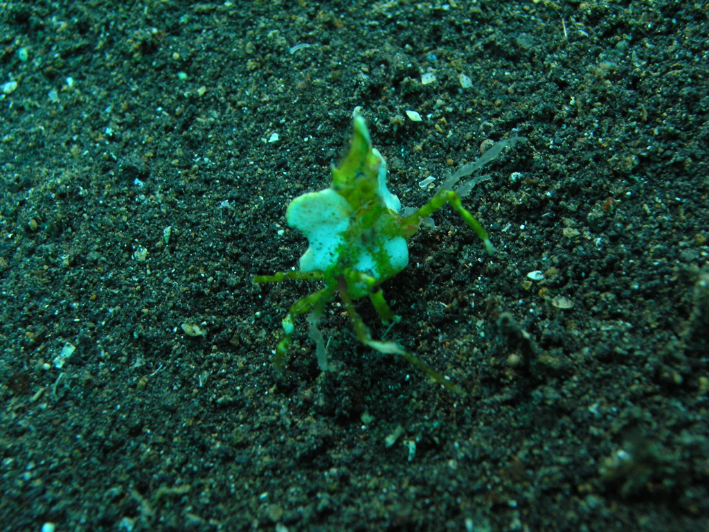 P4240338.JPG