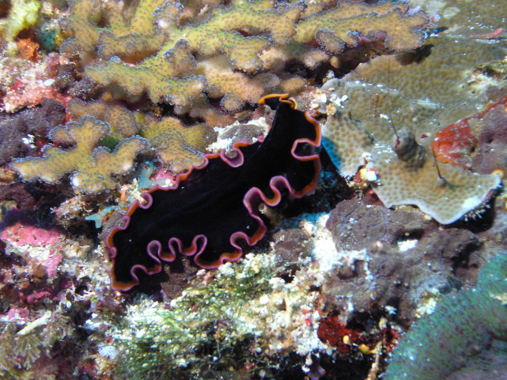 P4270006.JPG