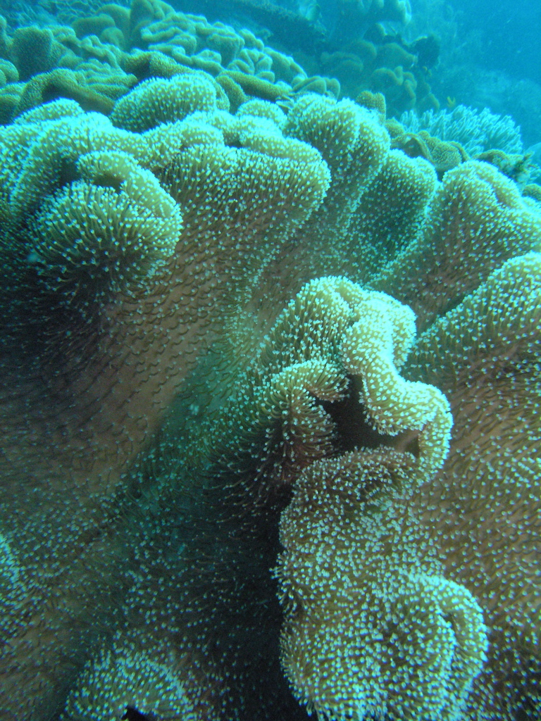 P4230170.JPG