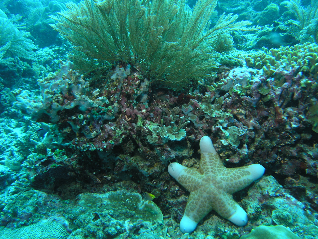 P4260106.JPG