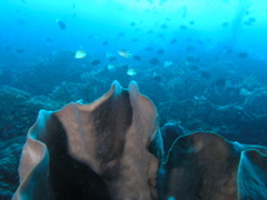 P4260006.JPG