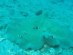 P4230132.JPG