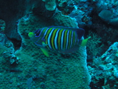 P4270014.JPG